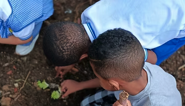 Niños sembrando plántulas como parte del programa de educación ambiental