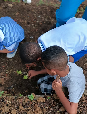 Niños sembrando plantas en jornada institucional